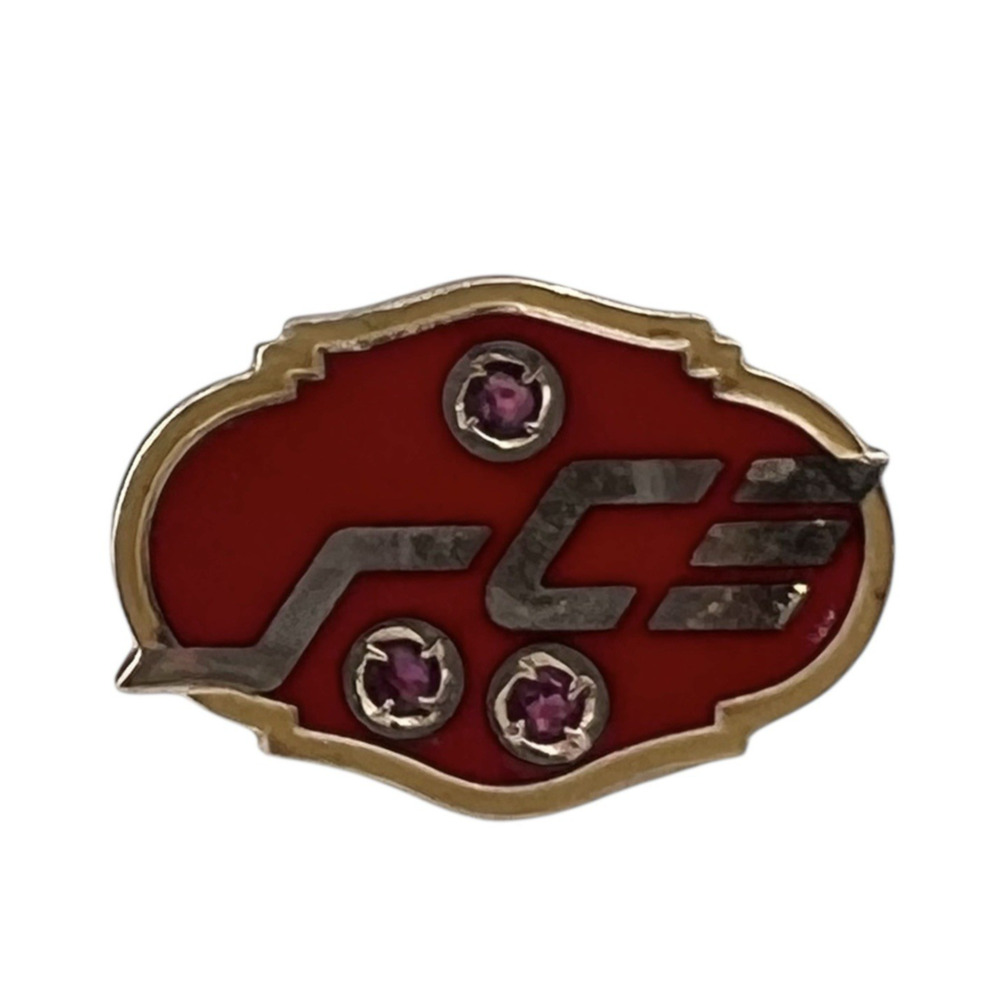 VTG SCE Southern California Edison 10K Yellow Gold Employee Award Pin 2.3g Ruby